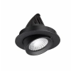Apex Adjust Black 3000K Downlight