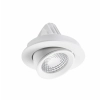 Apex Adjust White 3000K Downlight