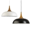 Brindisi Single Pendant light - group