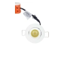 PHL503 Munchkin 3watt LED Starlight - White