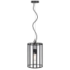 Telbix Pratt Black Pendant light Pratt PE20 