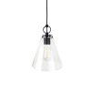 Ailia Imports Quest 1 Light pendant - Matt Black