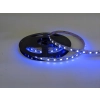 RGBWW Colour Changing LED strip with Warm White light - Blue LIT