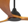 Fanco Sanctuary 70inch Black Ceiling Fan with Teak Blades - closeup