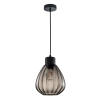 CLA Tulip2 1 Light Smoke Glass Pendant light