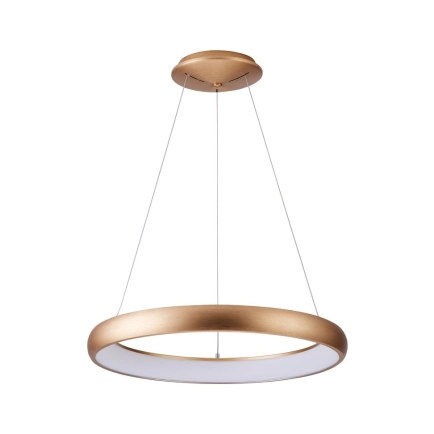 Ailia Imports Beaton Brushed Brass Pendant Light OFF