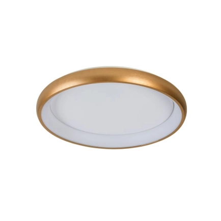 Ailia Imports Beaton LED Oyster Light OFF Brushed Brass