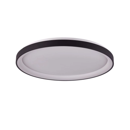 Ailia Imports Etwell Black Oyster Light Off