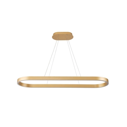 Ailia Imports Taree Oval Brushed Brass Pendant