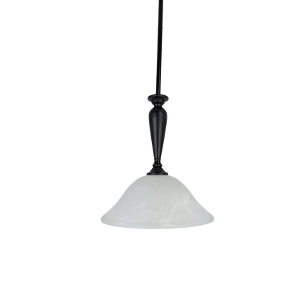Alia Imports - Evie 1 Light Black pendant light