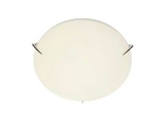 LAN4300 Spike Clip Oyster