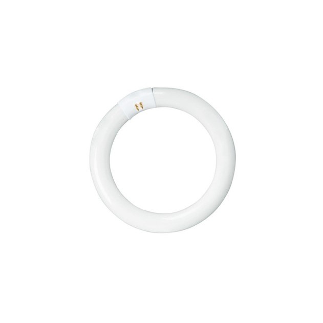 Lusion Lighting T9 32W Circular Fluorescent 4000K Tube 30502