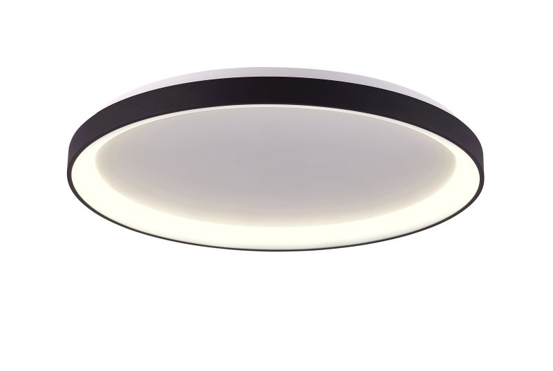 Ailia Imports Etwell Black Oyster Light On