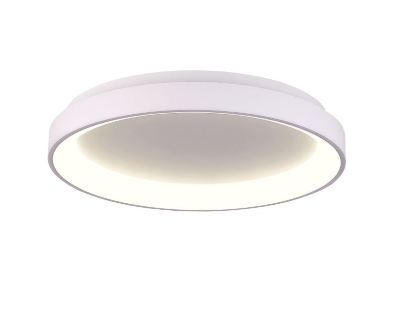 Ailia Imports Etwell Ceiling Light White Light On