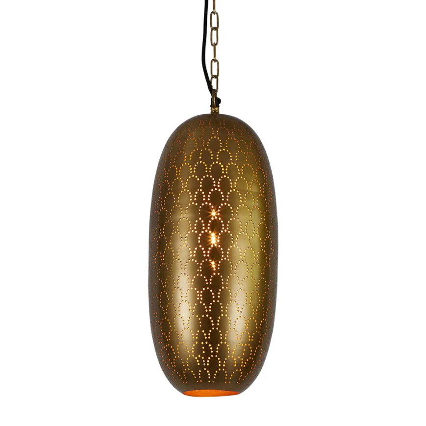 Anaconda Brass 1 Light Pendant light
