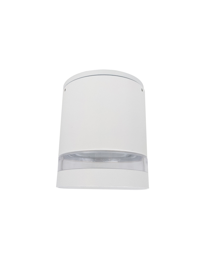 Bardo GU10 Surface Downlight - White side