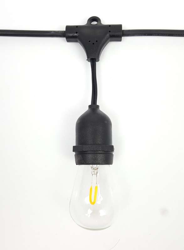 Festoon globe - 12VDc close up 