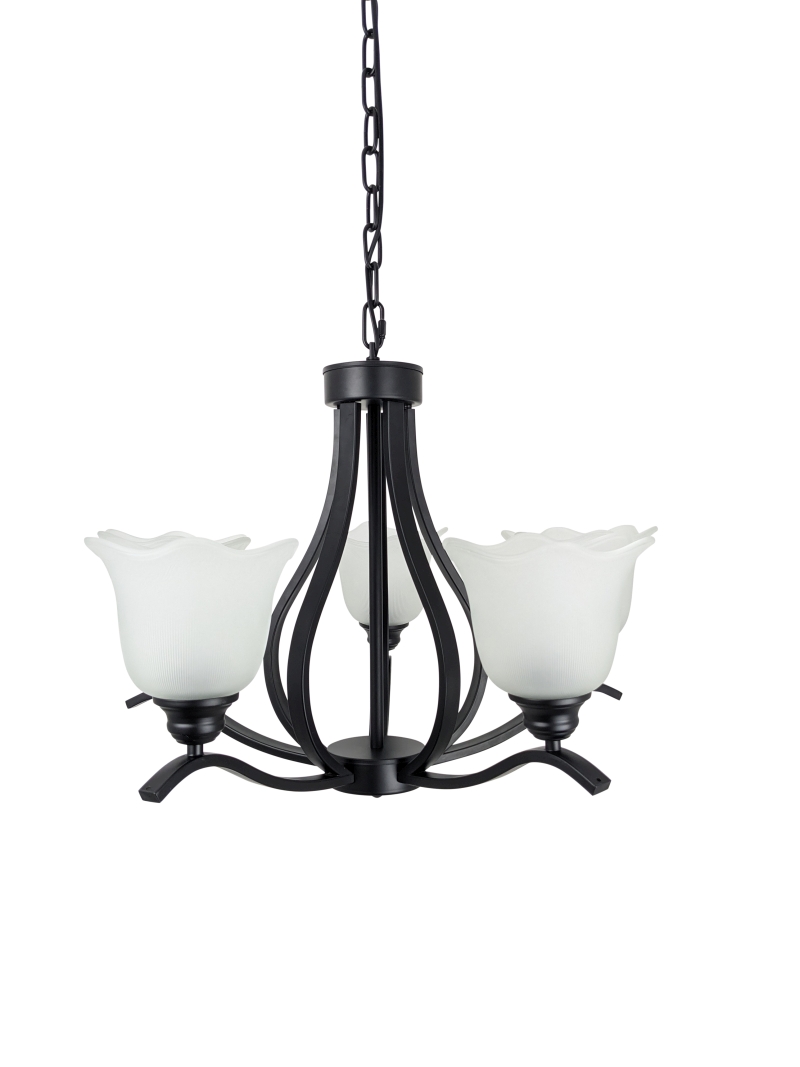 Ailia Imports - Kingston 5 Light matt black pendant light