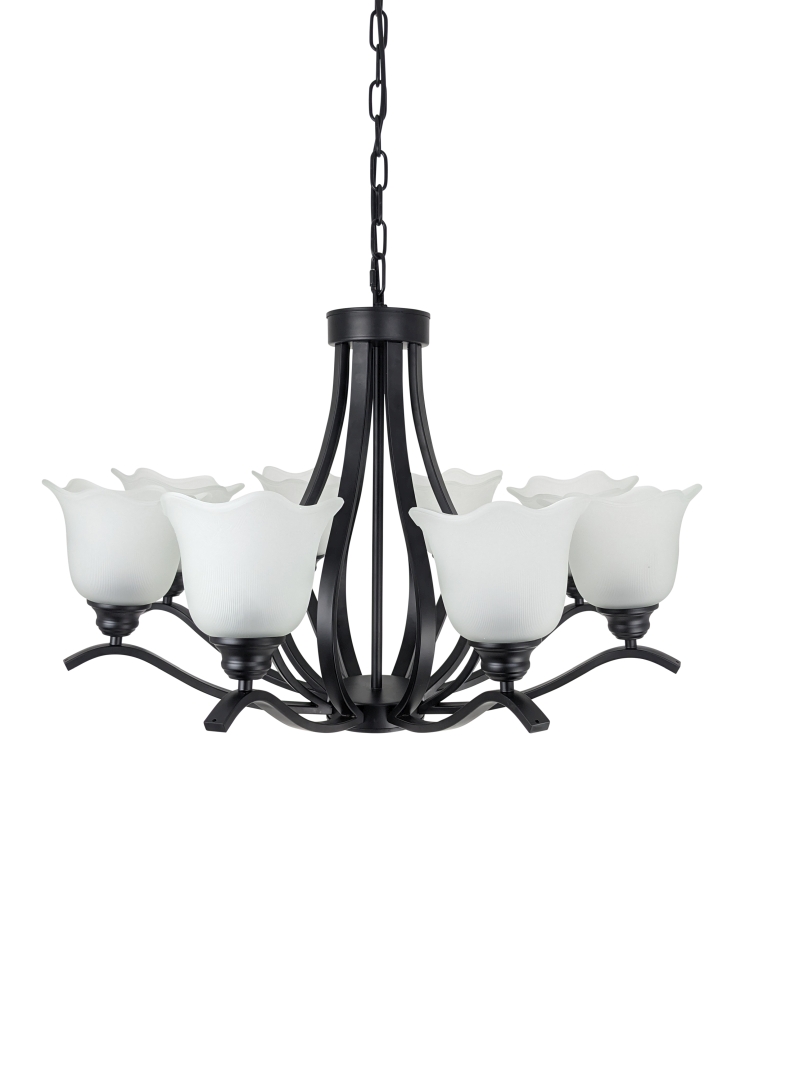 Ailia Imports Kingston 8 light Matt black pendant light